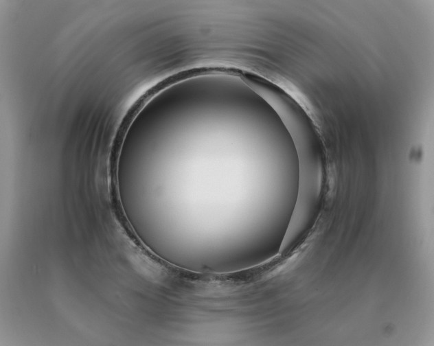 X0000091080980200708061334