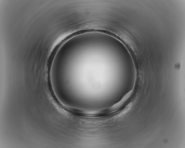 X0000091080981200708061333