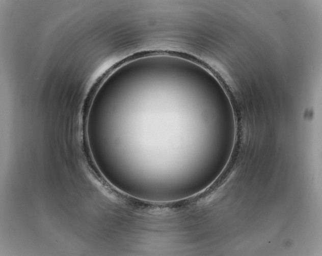 X0000091080982200708061333