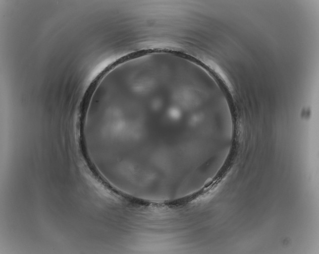 X0000091080983200708061333