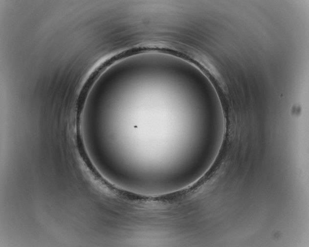 X0000091080984200708061333