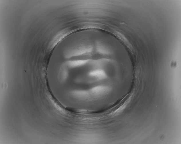 X0000091080985200708061333