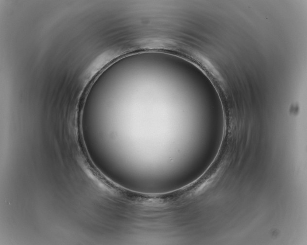 X0000091080986200708061333