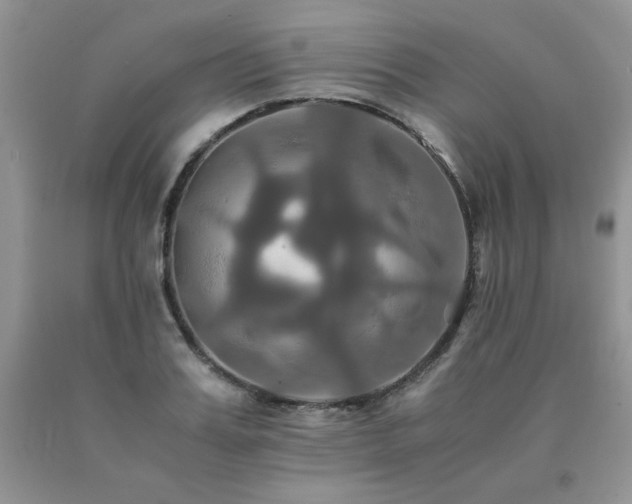 X0000091080987200708061333