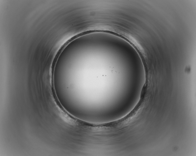 X0000091080988200708061333