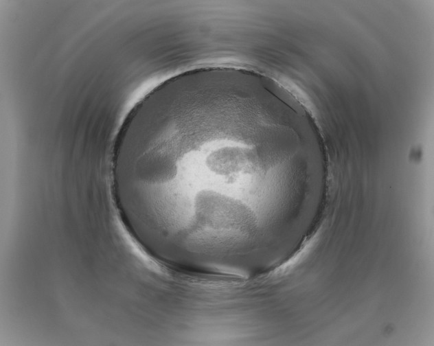 X0000091080989200708061333