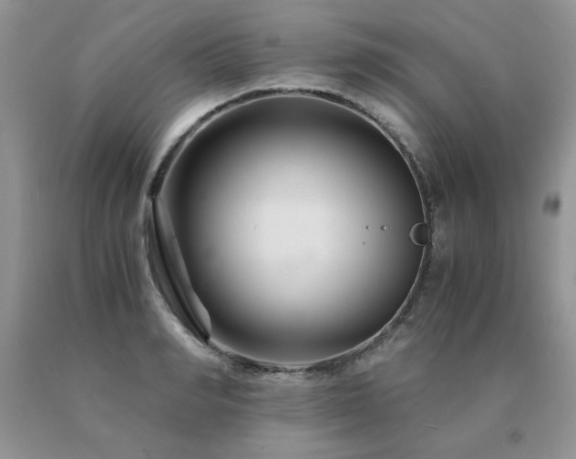 X0000091080990200708061333