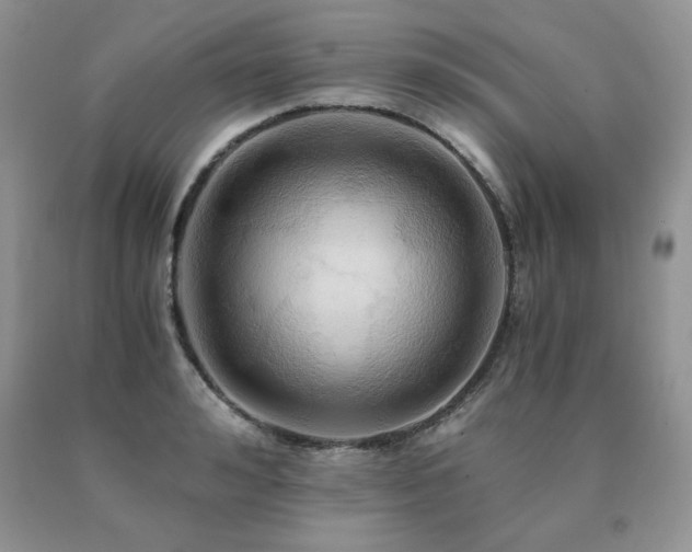 X0000091080992200708061333