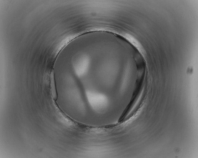 X0000091080993200708061333