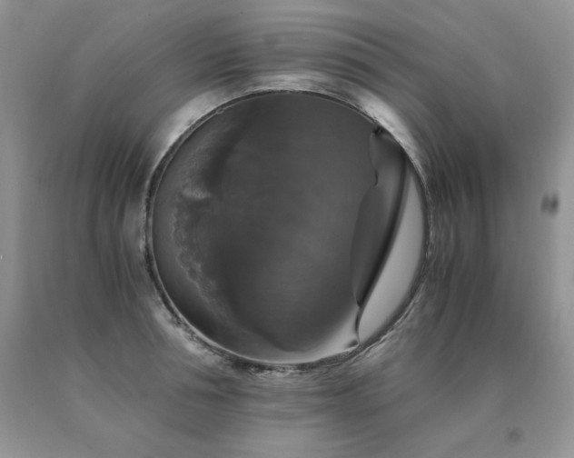 X0000091080994200708061333