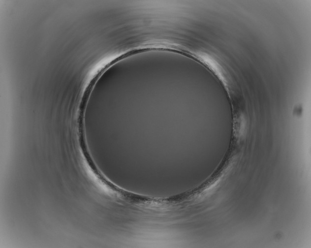 X0000091080995200708061333