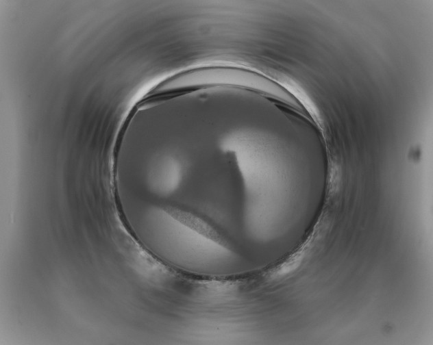 X0000091080996200708061333