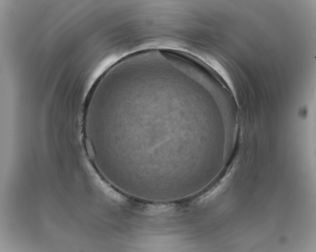 X0000091080997200708061333