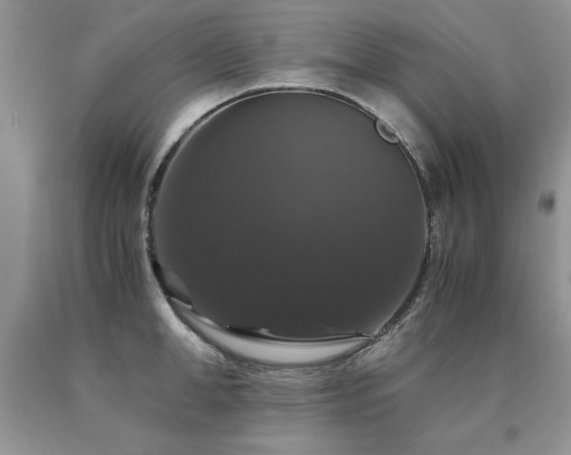 X0000091080998200708061333