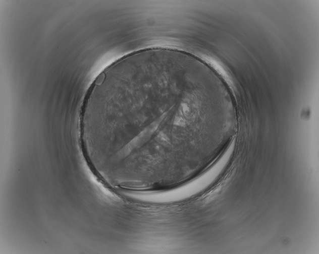 X0000091080999200708061333