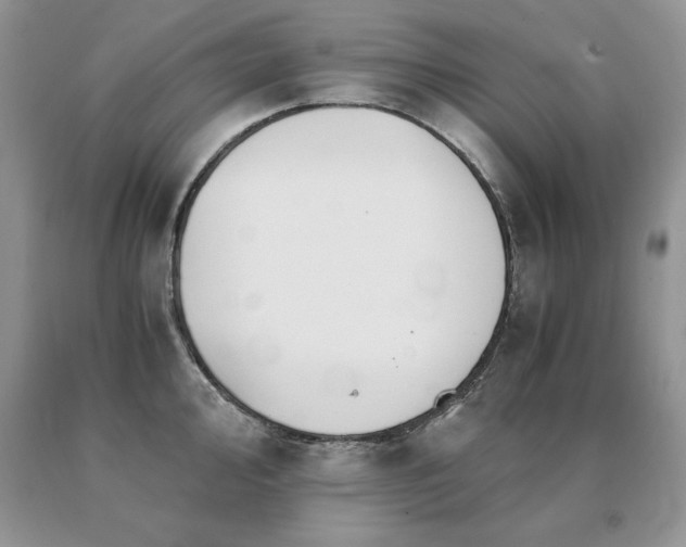 X0000091081000200708061333