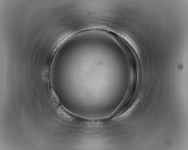 X0000091081001200708061333