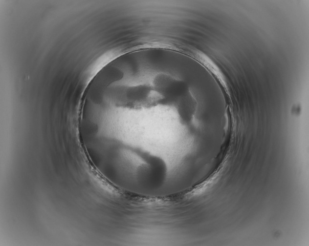 X0000091081002200708061333