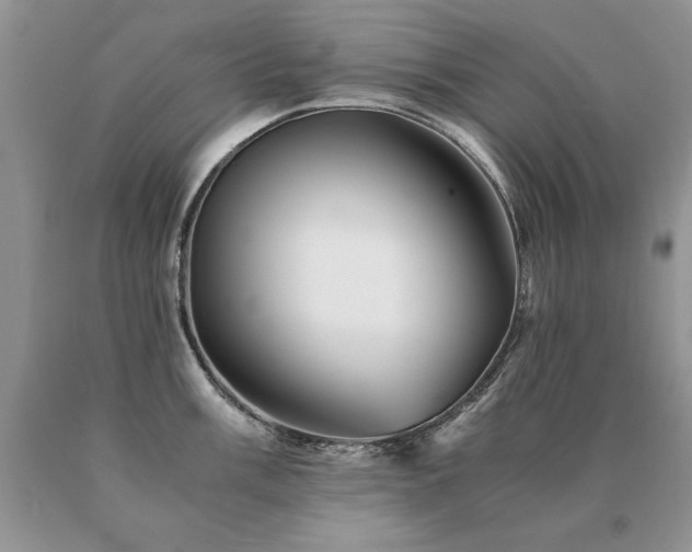 X0000091081003200708061333