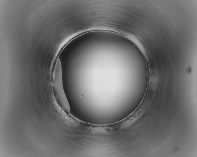 X0000091081004200708061333