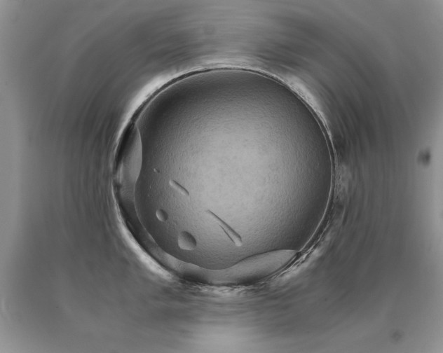 X0000091081005200708061333