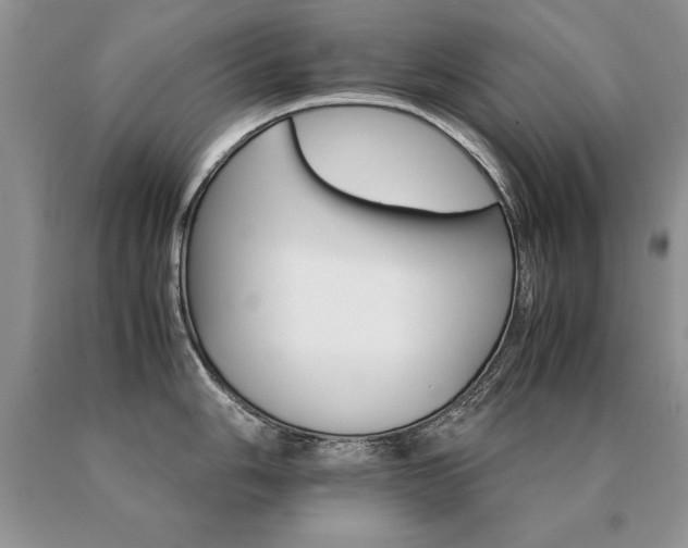 X0000091081006200708061333