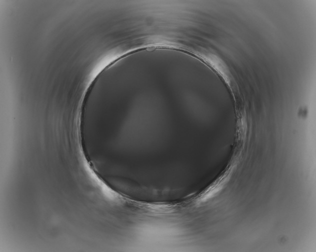 X0000091081007200708061333