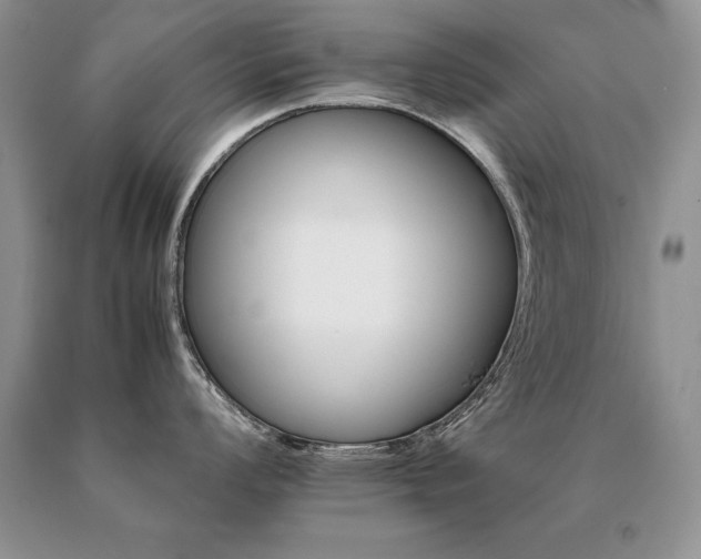 X0000091081008200708061333