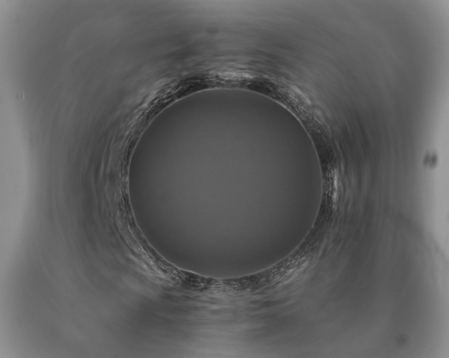 X0000091081009200708061332