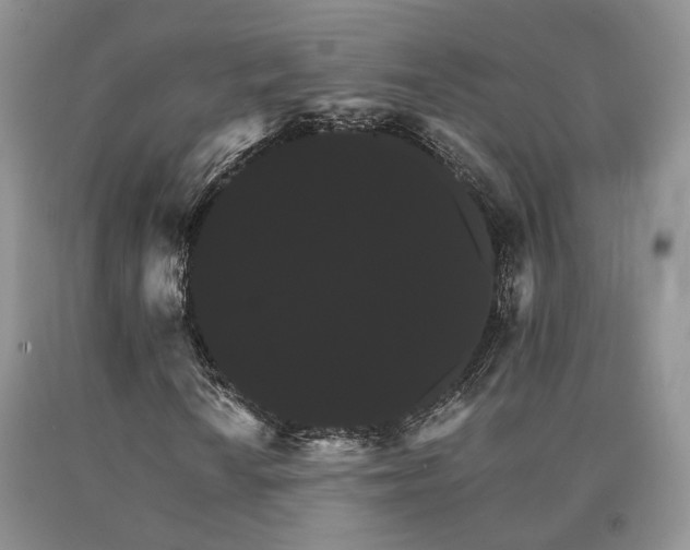X0000091081010200708061332