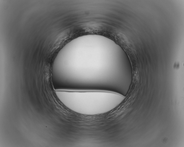 X0000091081012200708061332