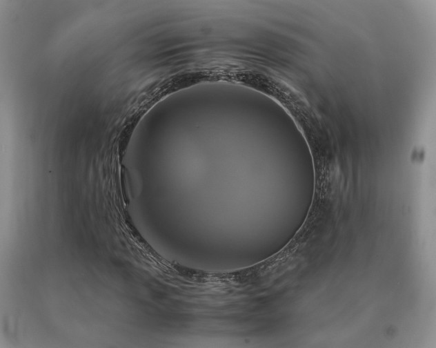 X0000091081013200708061332