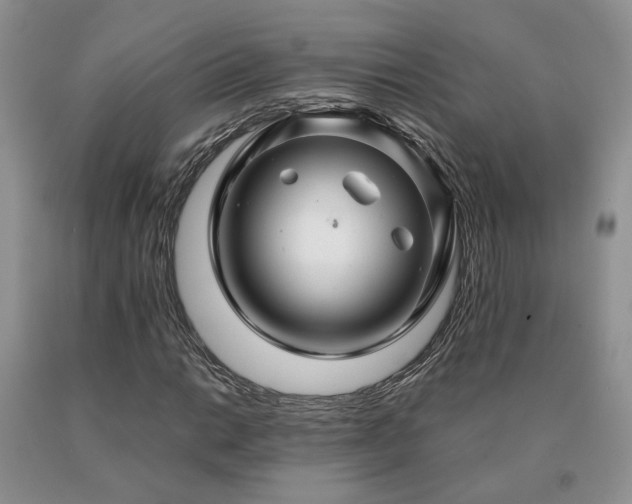 X0000091081014200708061332