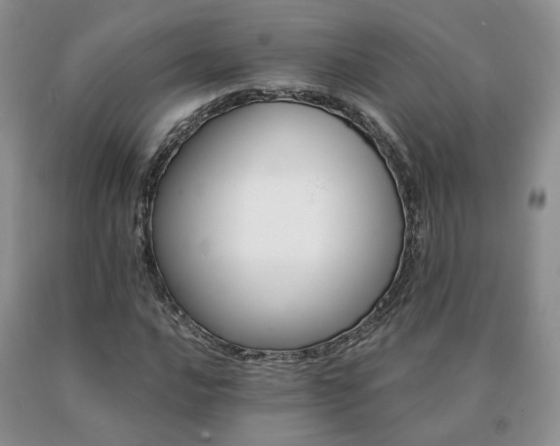 X0000091081016200708061332