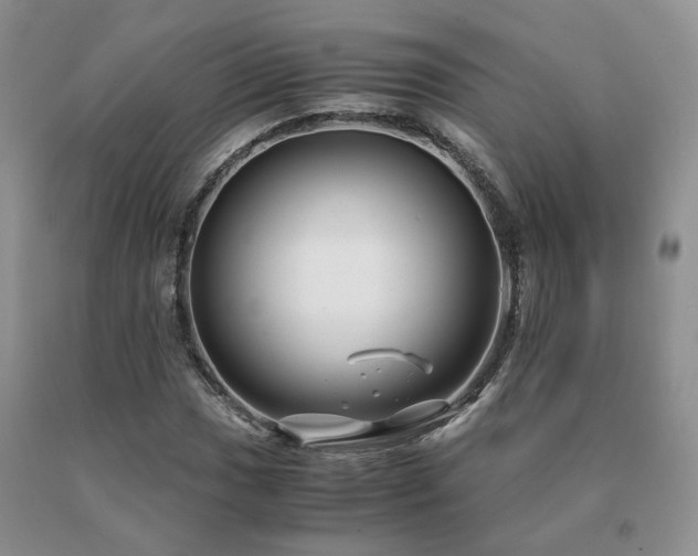 X0000091081017200708061332