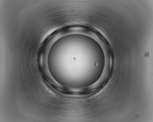 X0000091081018200708061332