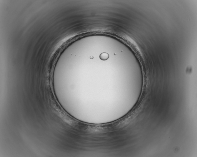 X0000091081019200708061333