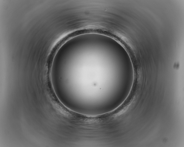 X0000091081021200708061333