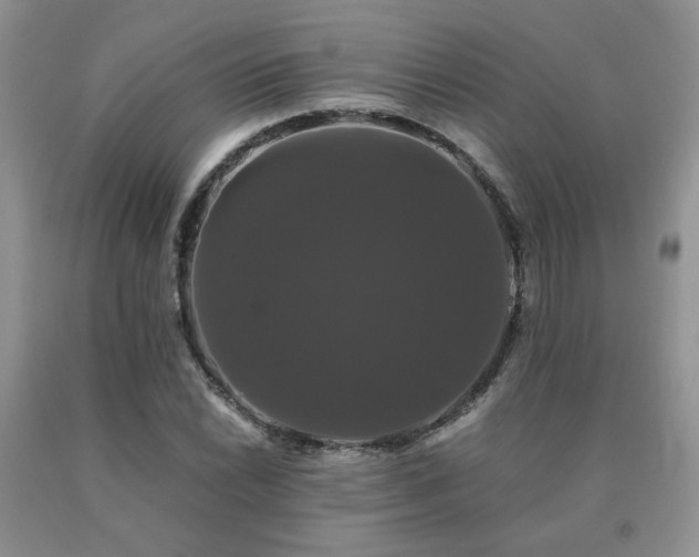 X0000091081022200708061333