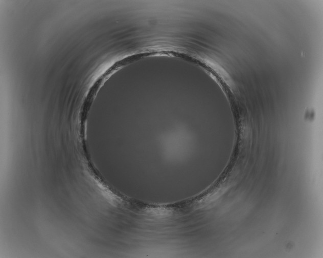 X0000091081023200708061333