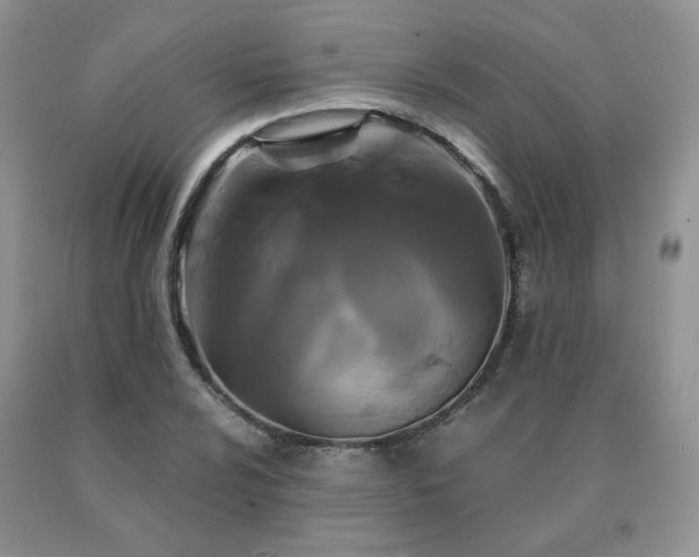 X0000091081024200708061333