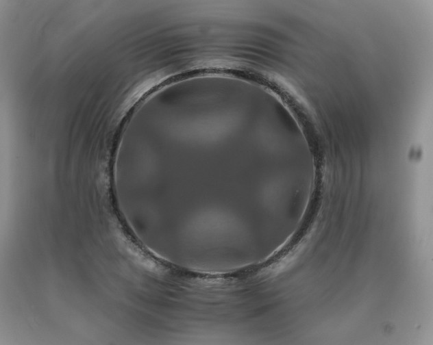 X0000091081025200708061333