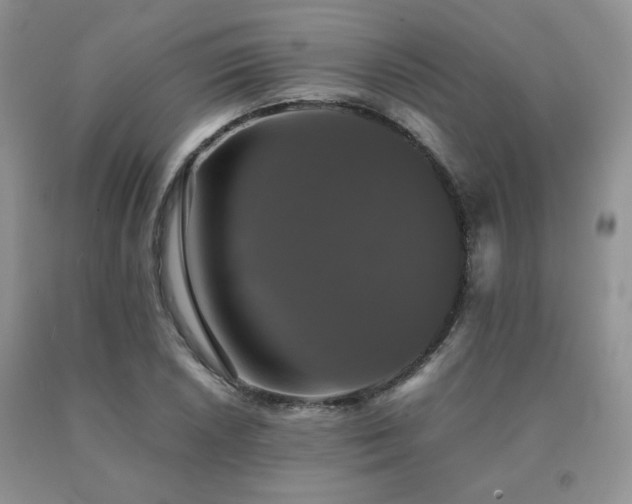 X0000091081026200708061333