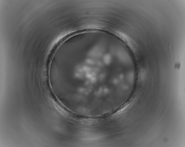 X0000091081027200708061333