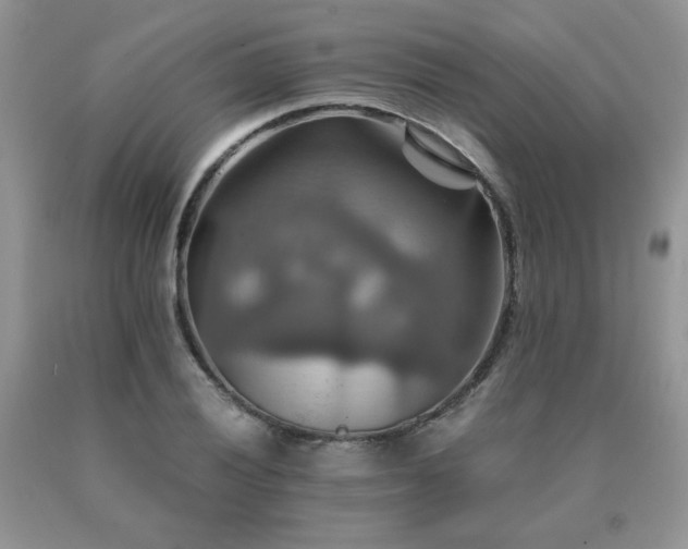 X0000091081028200708061333