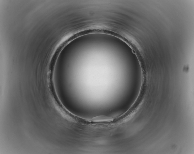 X0000091081029200708061333