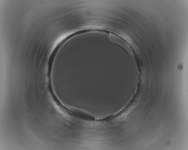 X0000091081030200708061333