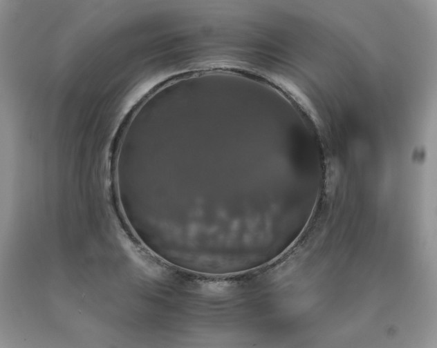 X0000091081031200708061333