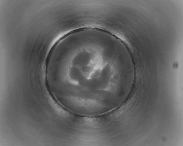 X0000091081032200708061333