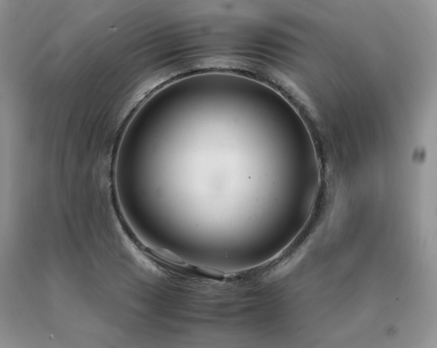 X0000091081033200708061333